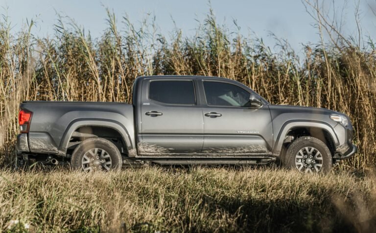 Pilkas „Toyota Tacoma“ pikapas stovintis gamtoje tarp aukštų žolių.