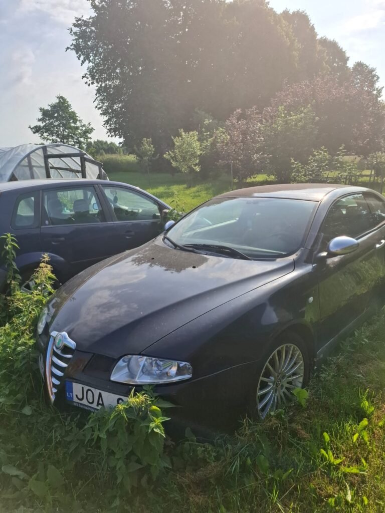 Žolėmis apaugęs senas Alfa Romeo automobilis sodybos kieme - automobilių supirkimas ukmergėje.